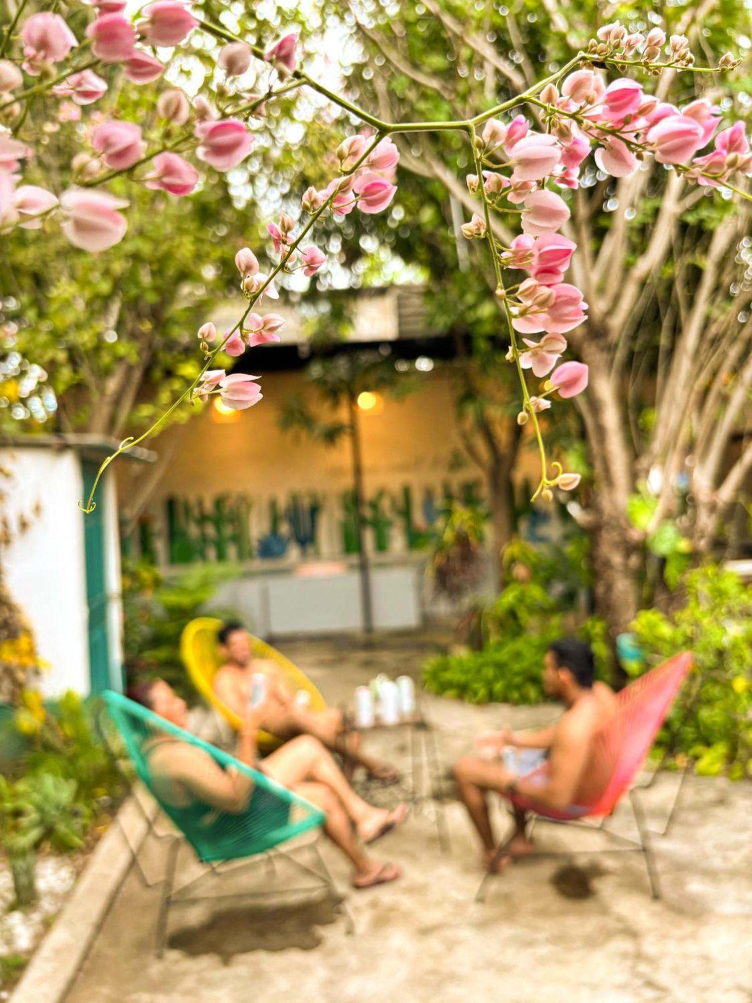 Hostal El Rio León Eksteriør billede